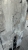 IMG_9767.jpeg