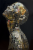 IMG_0222.png