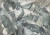 IMG_1586.jpeg