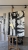IMG_8565.jpeg