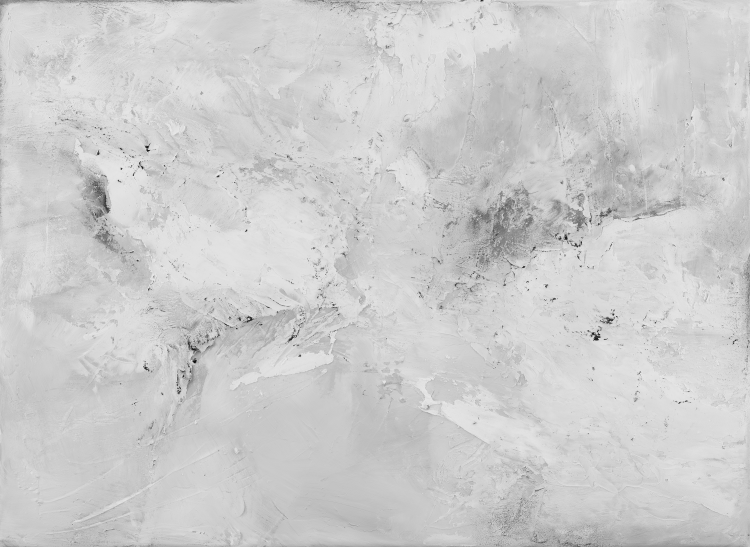 Obraz 1 500x364cm 225DPI SZARY MIN.png