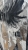 IMG_2162.jpeg