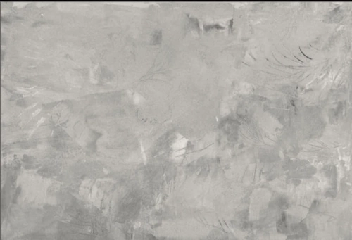 IMG_3042 beżowy .webp