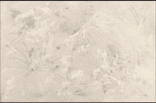 IMG_3040beżowy .webp