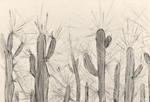 IMG_3037 beżowy.jpg