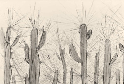 IMG_3037 beżowy.jpg