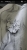 15544.webp