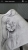 15543.webp