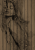 LAMEL 3.png