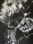 IMG_5550.jpeg