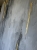 IMG_5567.jpeg