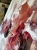 IMG_5571.jpeg