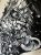 image00003.jpeg