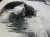 image00005.jpeg