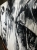 image00008.jpeg