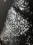 image00012.jpeg