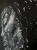 image00011.jpeg