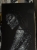 image00001.jpeg