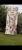 image00002.jpeg