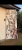image00003.jpeg