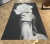 image00005.jpeg