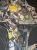 image00018.jpeg