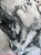 IMG_7025.jpeg