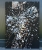 image00001.jpeg