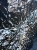 image00002.jpeg