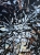 image00003.jpeg
