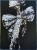 image00008.jpeg
