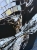 image00009.jpeg