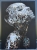 image00004.jpeg
