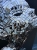 image00006.jpeg