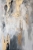 LORYS-low resolution v2-2x-standard v2-2x2222.jpg