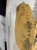 image00025.jpeg