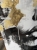 image00035.jpeg
