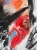 image00014.jpeg