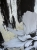 image00003.jpeg