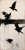 ORGANIC.png
