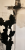 SCULPTED.png