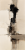 STOA.png