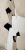 cume1x2.png