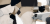 topografia1x2.png