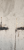 IMG_1987.png