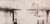 IMG_1989.png