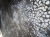 image00007.jpeg