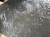 image00008.jpeg