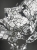 image00013.jpeg