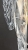 IMG_2192.jpeg